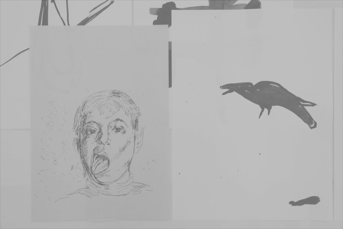 NOBODY CARES THAT PARROTS CAN TALK